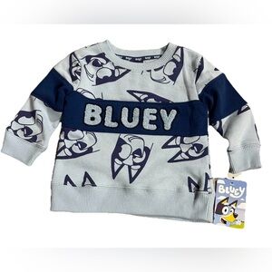 Bluey Unisex Pullover Sweatshirt Size 12 Months (Fits Like A 2T)